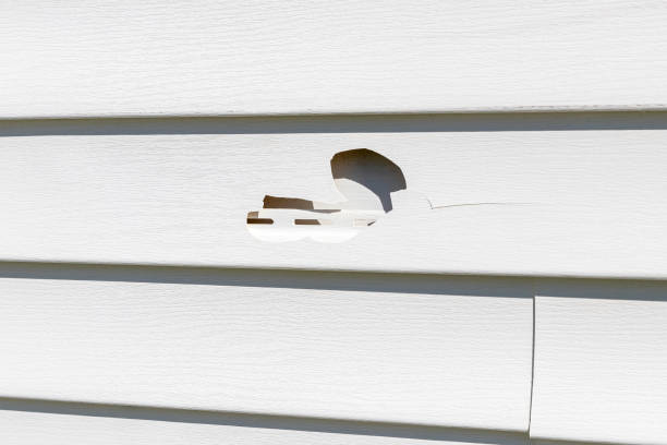 How To Choose The Right Materials for Your Siding Installation in 'Mcdade, TX